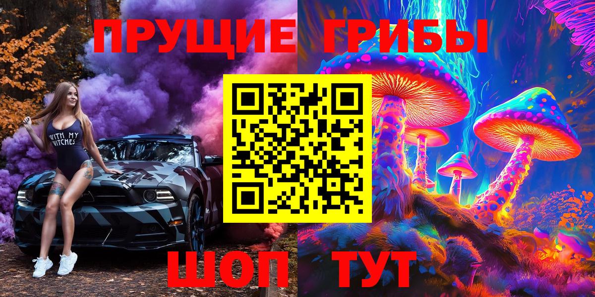 Шадринск  Галлюциногенные грибы Psilocybine cubensis  Вход с VPN 