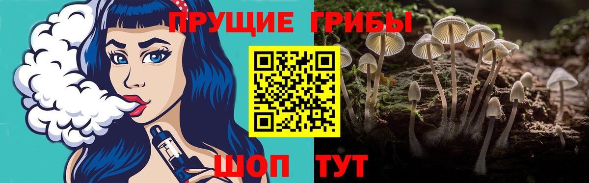 Псилоцибиновые грибы Cubensis Шадринск